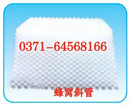 蜂窝斜管填料